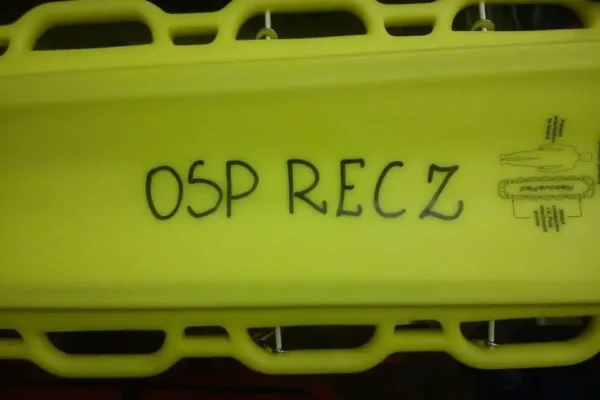 Gniazdo szerszeni przy dworcu PKP w Reczu – interwencja OSP