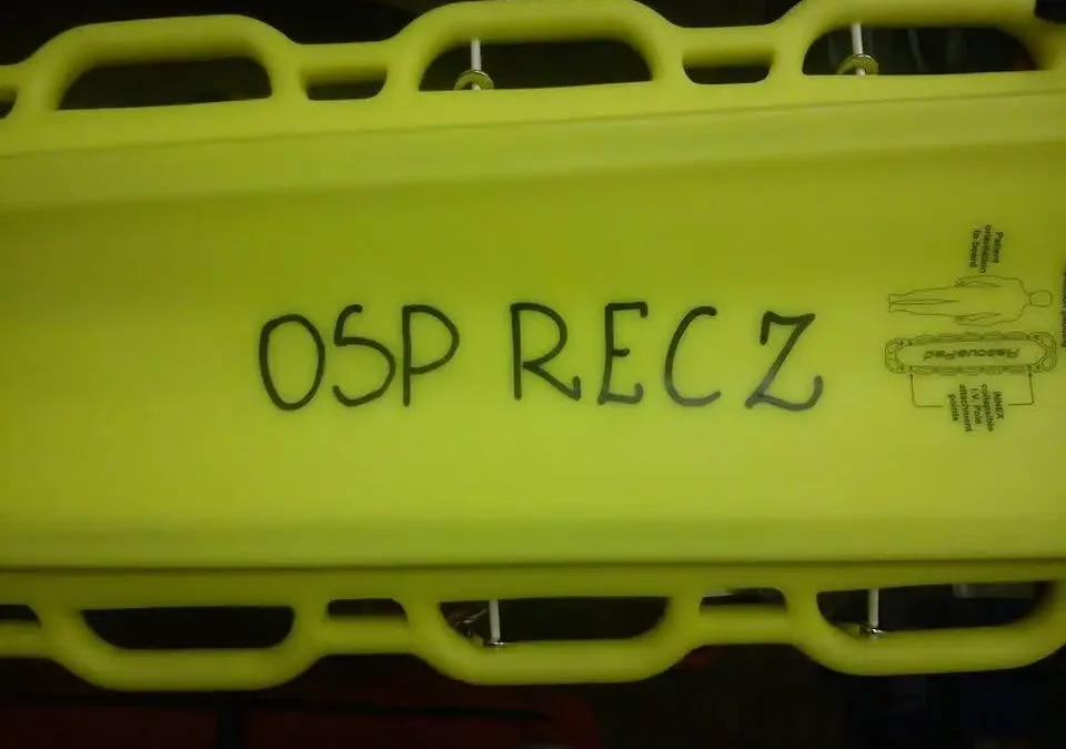 Gniazdo szerszeni przy dworcu PKP w Reczu – interwencja OSP