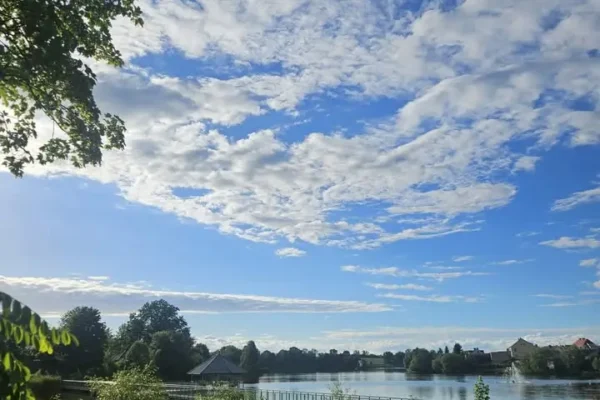 Kontrowersje wokół prognozy środowiskowej dla farm wiatrowych w gminie Pełczyce