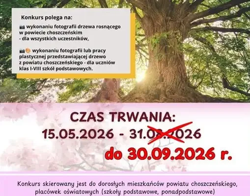 Konkurs fotograficzny „Moje drzewo – moja opowieść” przedłużony do 30 września