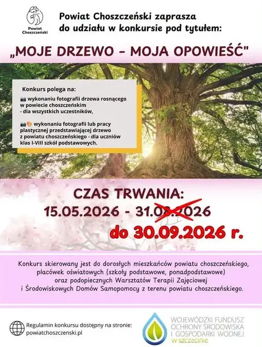 Konkurs fotograficzny „Moje drzewo – moja opowieść” przedłużony do 30 września
