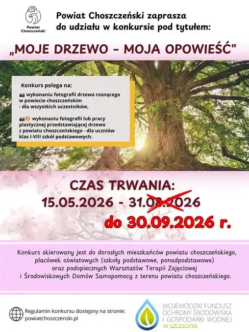 Konkurs fotograficzny „Moje drzewo – moja opowieść” – wydłużony termin składania prac