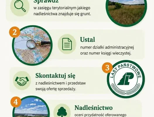 Nadleśnictwo Drawno poszukuje lasów i gruntów do zalesienia – sprawdź warunki sprzedaży