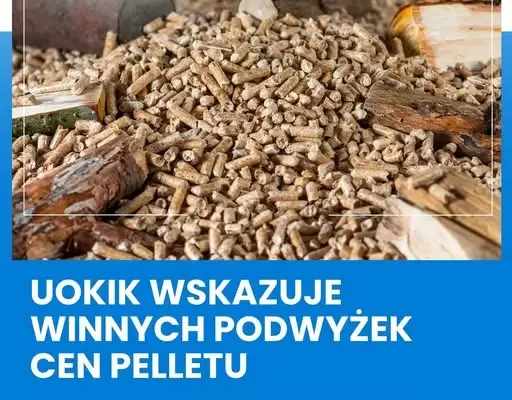 UOKiK: To nie sprzedawcy zawinili w podwyżkach cen pelletu, lecz system