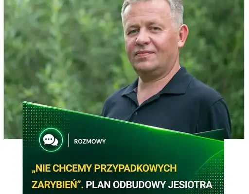 Jesiotr wraca do rzek Pomorza Zachodniego – ambitny plan odbudowy populacji
