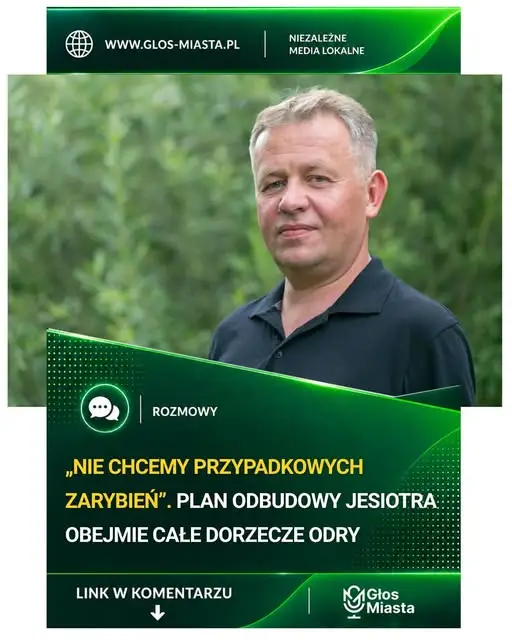 Jesiotr wraca do rzek Pomorza Zachodniego – ambitny plan odbudowy populacji