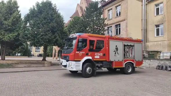 Gniazdo owadów błonkoskrzydłych przy wejściu do szkoły w Reczu
