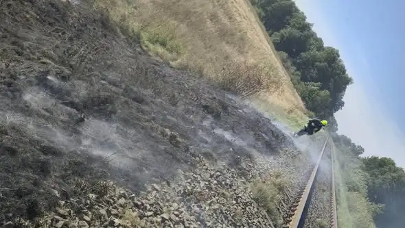 Pożar traw na nasypie kolejowym w Rybakach. Wspólna akcja strażaków